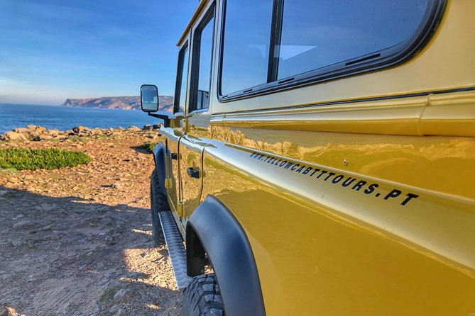 Sintra Cascais (Wine and Tapas) 4X4 Land Rover Panoramic Private Tour - Enjoying Wine and Tapas