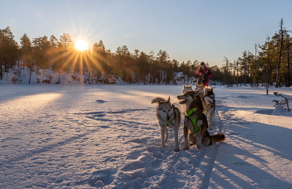 Sleddog Husky Safari Including a Hot Drink - Frequently Asked Questions