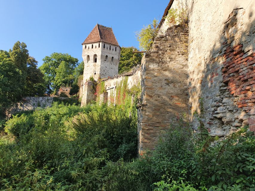 Small Group 2 Days in Transylvania - Overnight Sighisoara - Peles Castle Visit