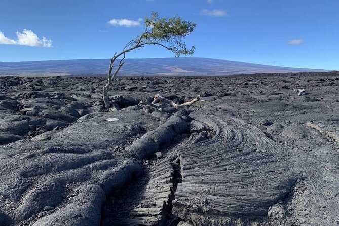 Small Group Big Island Waterfalls Adventure - Customer Feedback