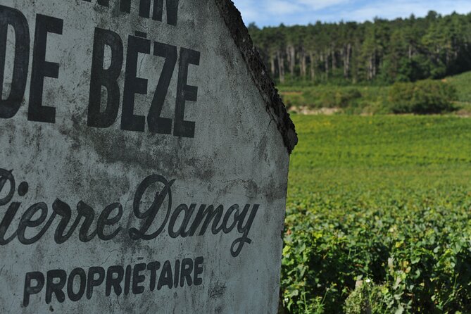 Small Group Burgundy Tour of Beaune With Wine Tasting From Dijon - Sampling Premier and Grand Cru Wines