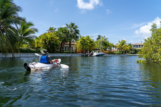 Small Group Kayak Adventure in the Cayman Islands - Activity Highlights