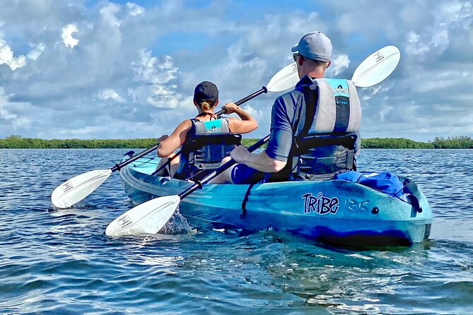 Small Group Kayak Tour of the Shell Key Preserve - Equipment and Requirements