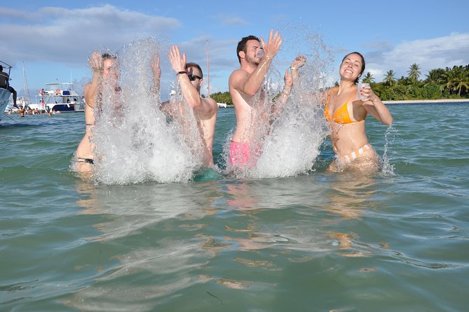 Small Group Snorkeling, Sharks & Stingrays Encounter by Boat - Snorkel Spot