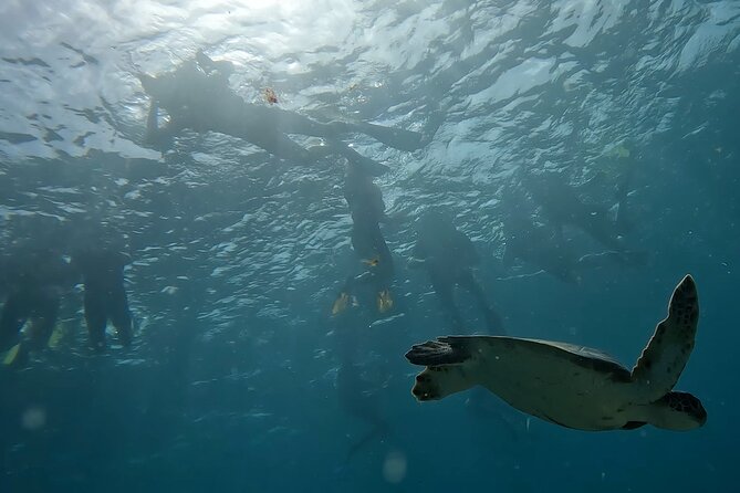 Snorkeling Experience in Santa Maria Bay by Boat - Health and Safety Considerations