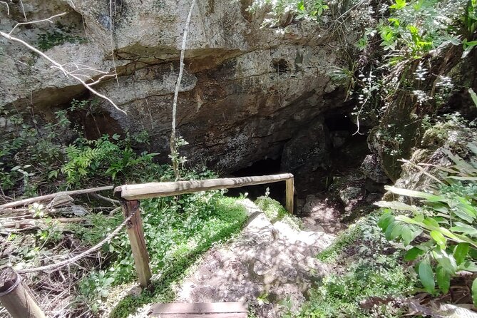 Snorkeling in the Cenotes of Bayahibe - Exceptional Snorkeling Spot