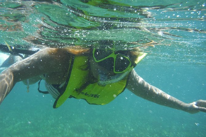 Snorkeling Lesson & Interactive Experience for Kids and Adults - Explore the Underwater World