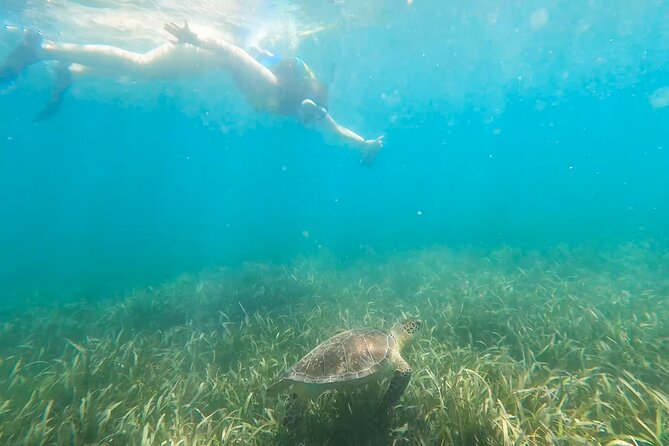 Snorkeling W/ Manatees & Turtles in San Juan! (Free Rum) - Meeting Point and Pickup Information