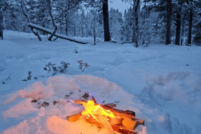 Snowshoe in a Winter Forest - Refreshments and Sustenance