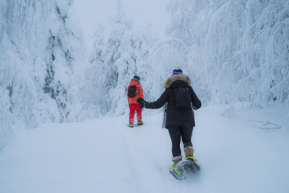 Snowshoeing in the Frozen Forest - Pickup and Dropoff