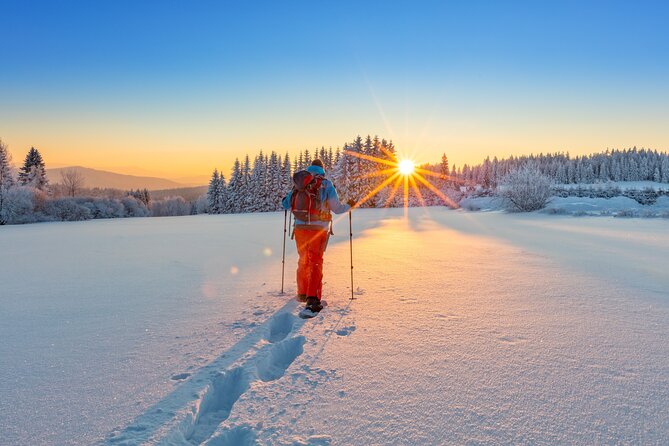 Snowshoeing In Vancouvers Winter Wonderland - Getting to the Tour