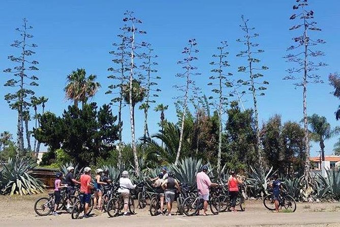 SoCal Riviera Electric Bike Tour of La Jolla and Mount Soledad - Ride to Mount Soledad