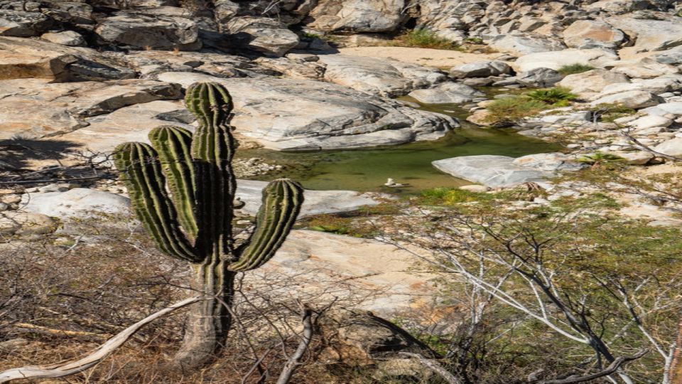 Sol De Mayo Oasis: Explore Natural Springs and Charming Town - Exploration of Sierra La Laguna