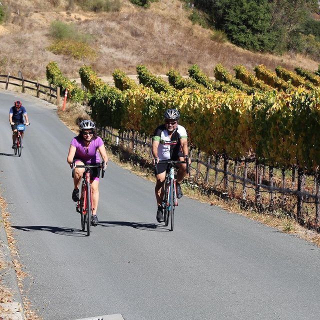 Sonoma County: Wine Tasting and Biking in Healdsburg - Tour Location Flexibility