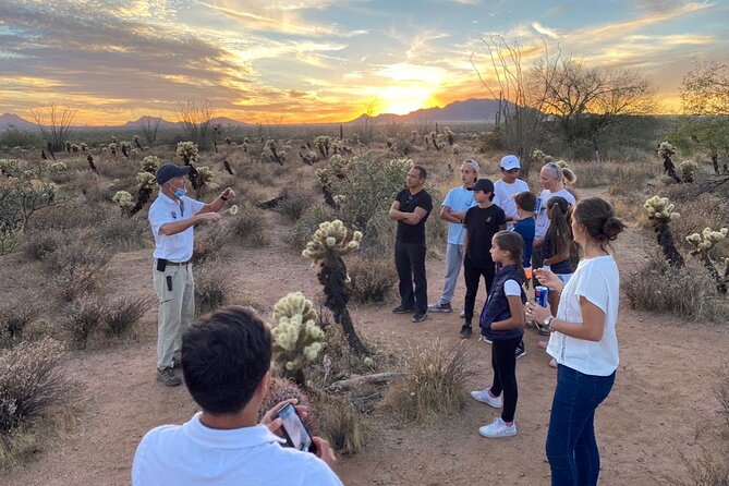 Sonoran Desert Jeep Tour at Sunset - Tour Highlights