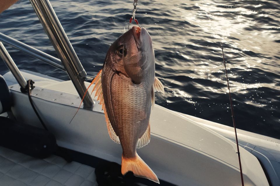 Split: Half-Day Fishing Tour to Drvenik and Solta Island - Customer Feedback