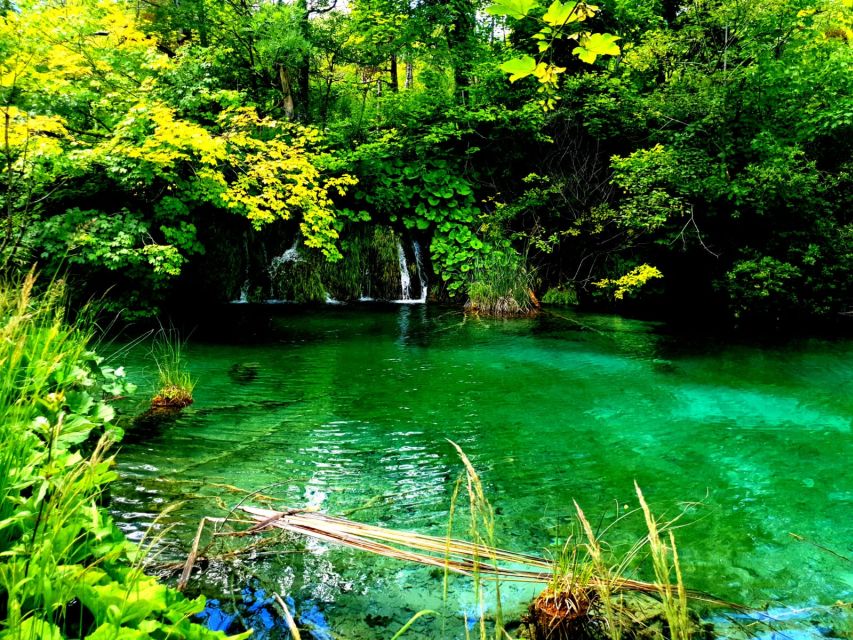 Split: Plitvice Lakes Guided Day Tour With Entry Tickets - Customer Reviews