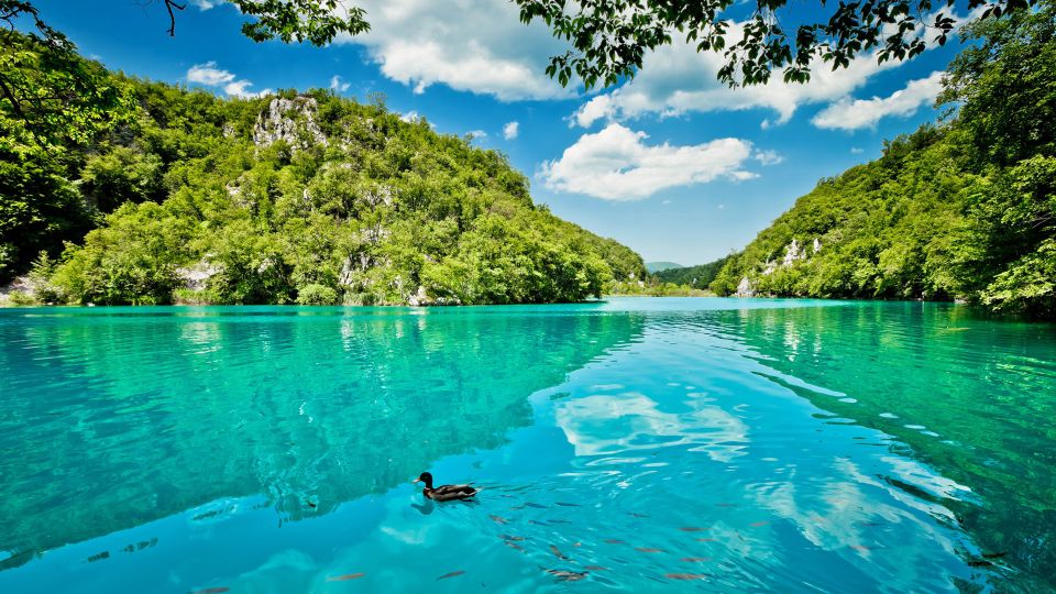 Split: Transfer to Zagreb With Plitvice Lakes Entry Tickets - Customer Feedback