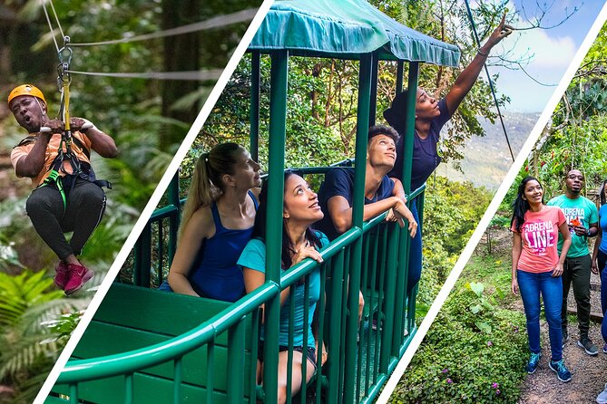 St Lucia Ultimate 3: Aerial Tram, Zipline and Hiking at Rainforest Adventures - Canopy Zipline Course