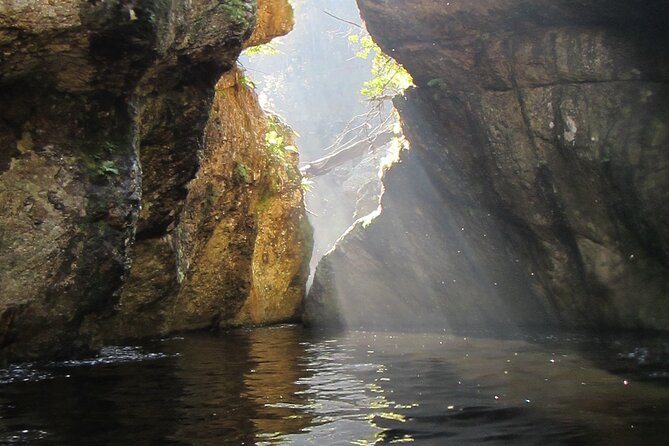 Standard Canyoning Trip in The Crags, South Africa - River Swim and Hike