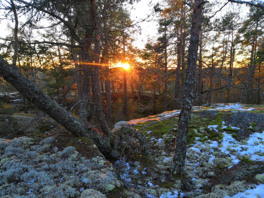 Stockholm: Winter Nature Hike With Campfire Lunch - Duration and Group Size