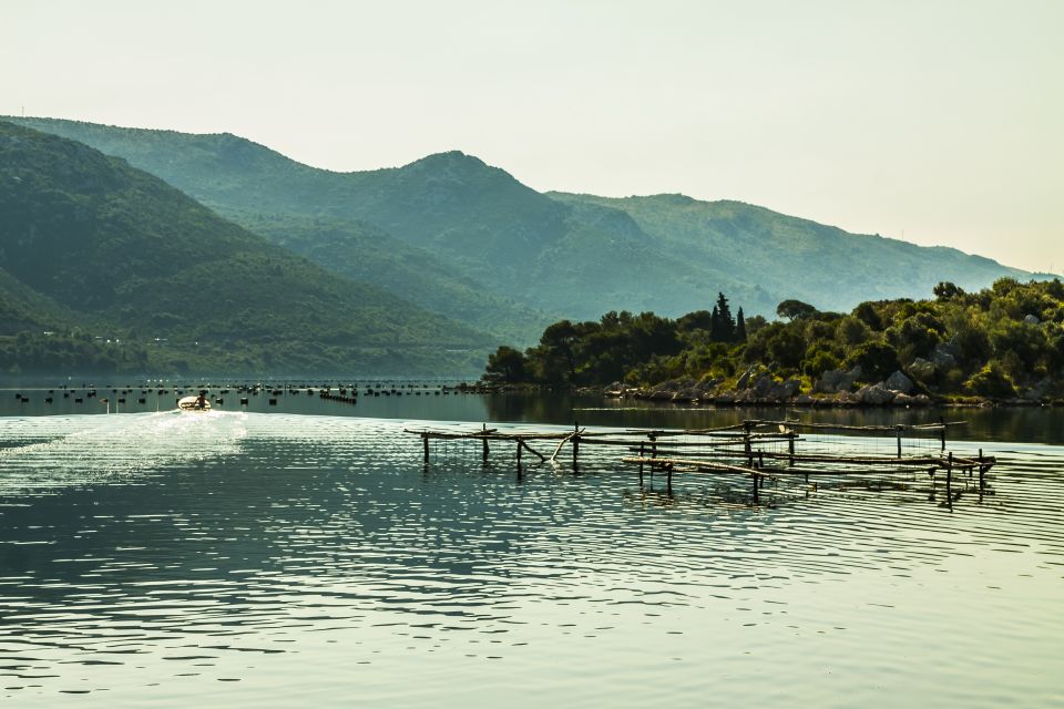 Ston Oyster Tasting Private Tour From Dubrovnik - Recommended Items