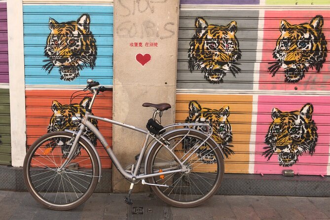 STREET ART Private Guided Tour on Bike, E-Bike, E-Step or Segway - Private Tour Experience