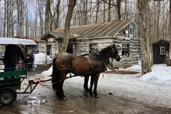 Sugar Shack (Feb to May) Maple Syrup Private Day Tour With Lunch From Montreal - Booking and Confirmation