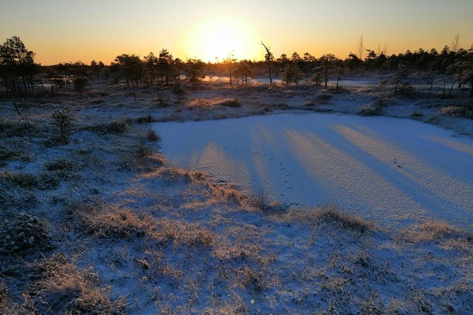 Sunrise at Kemeri National Park + Jurmala - Cancellation Policy