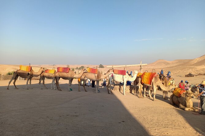 Sunset Camel Ride Agafay Desert Marrakech - Bedouin Tent and Mint Tea