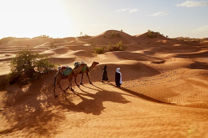 Sunset Dubai Desert Safari With BBQ & Entertainment - Barbecue Dinner and Entertainment