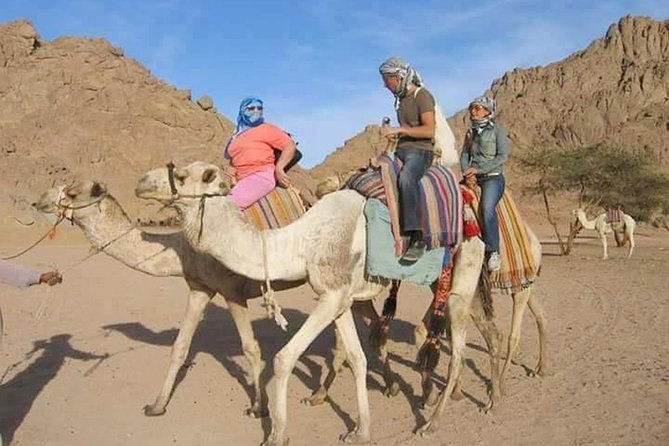 Super Safari Quad Bike, Camel Ride & Bedouin Diner in Hurghada - Cancellation Policy