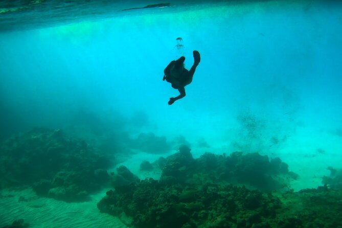 Swim With Turtles at Turtle Bay, Curacao: Boat, Blue Room Cave - Customer Reviews