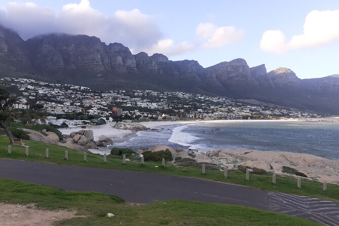 Table Mountain, Cape Point & Penguins Private ,From Cape Town - Pickup and Drop-off