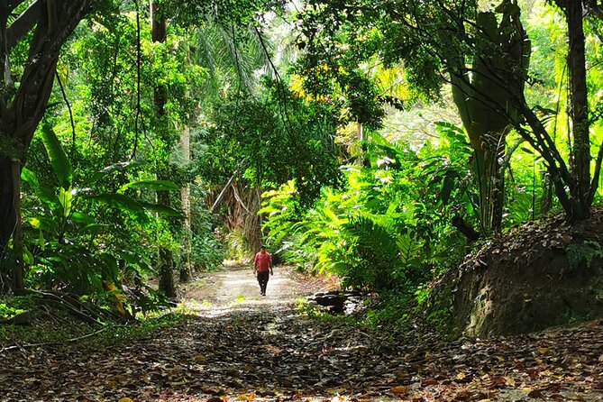 Taíno Valley Tropical Park Puerto Plata Tubagua - Operating Hours and Availability