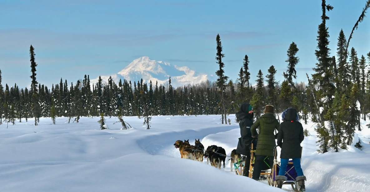 Talkeetna: Winter Dog Sled Tour Morning or Night Mush! - Staying Warm and Comfortable