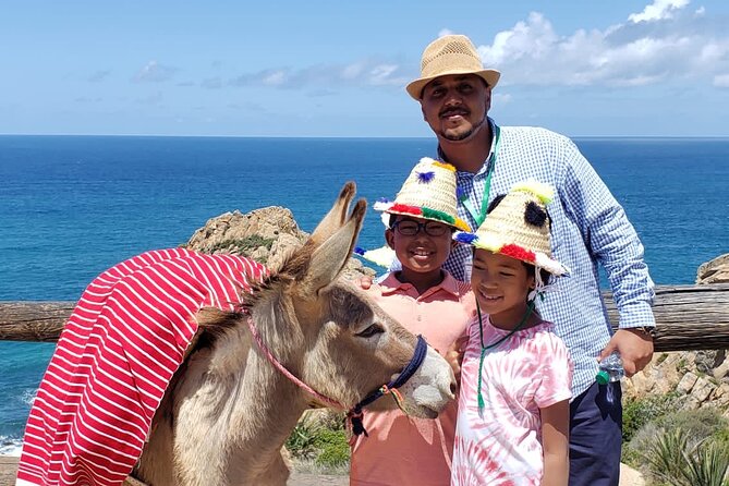 Tangier Private Sightseeing&Walking Tour With Optional Camel Ride - Learning About Tangiers History and Culture