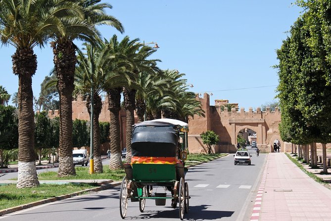 Taroudant + Tiout 1 Day Excursion With Homestay Lunch From Agadir - Important Tour Details and Inclusions