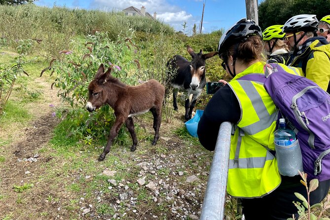 Taste of Connemara Tour by Electric Fat Tyre Bike - Age and Weight Restrictions