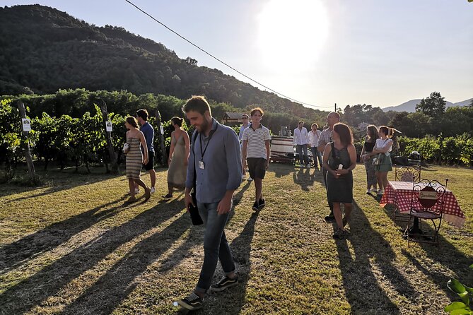 Tasting in a Tuscan Vineyard With Transfer From Lucca - Guides Expertise and Traditions