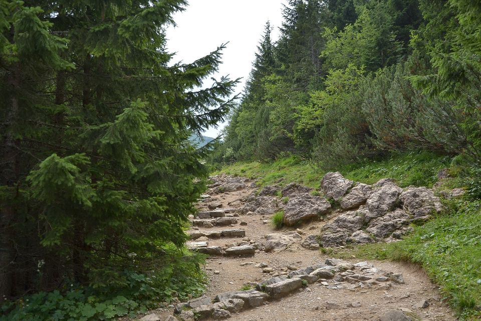 Tatras Mountains: Full-Day Hiking Tour From Krakow - Pricing and Booking