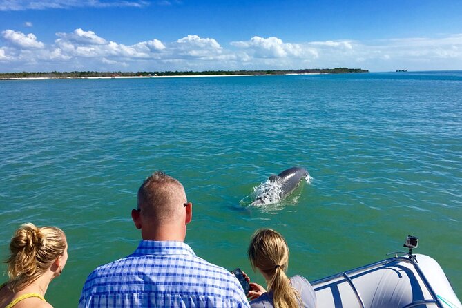 Ten Thousand Islands Boat Tour up to 12 People - Tour Accessibility