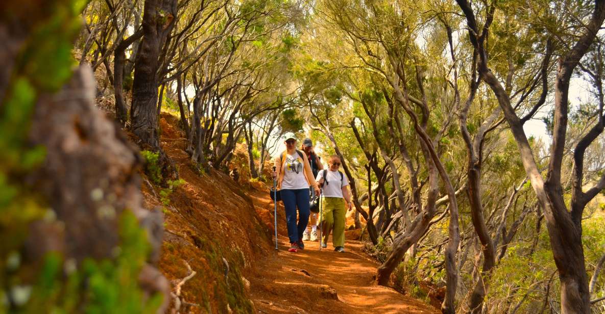 Tenerife: Anaga Mountains and Laurel Forest Hiking Tour - Pickup and Drop-off Locations