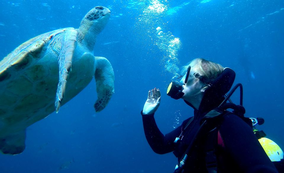 Tenerife: Puerto Colon Discover Scuba Diving Trip - Requirements and Restrictions