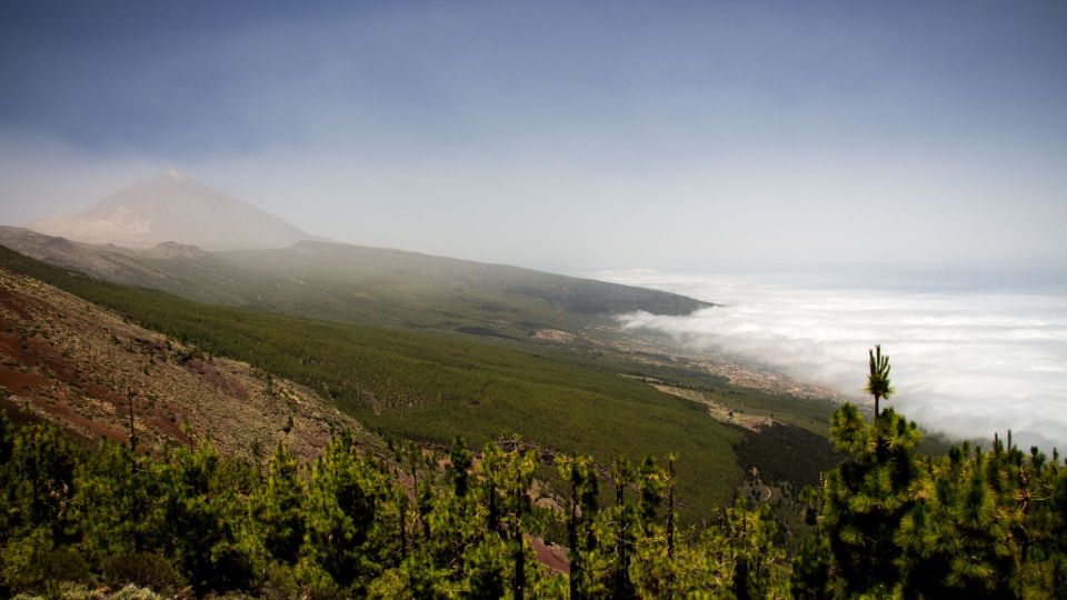 Tenerife: Teide National Park and Dolphins Sailboat Tour - Included in the Tour