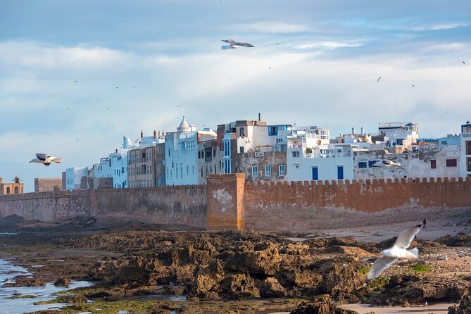 The Best Essaouira Day Trip From Marrakech - Discovering Argan Manufacturing