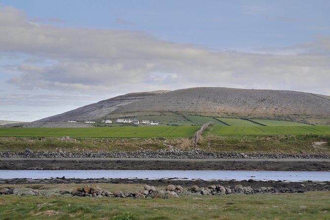 The Burren and Cliffs of Moher Full Day Private Tour From Galway - Visiting the Cliffs of Moher