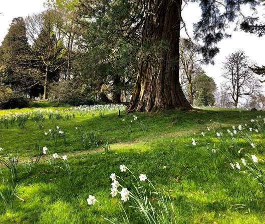 The Lake District Tour From Liverpool Including Lake Cruise - Host Responses