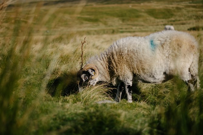 The Yorkshire Dales Tour From Windermere - Directions and Location