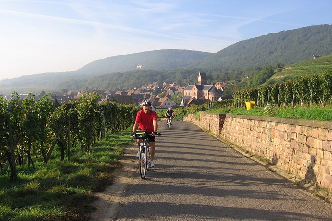 Through Alsace Vineyards and Wine Villages Private Bike Tour - Meeting Point and Start Time